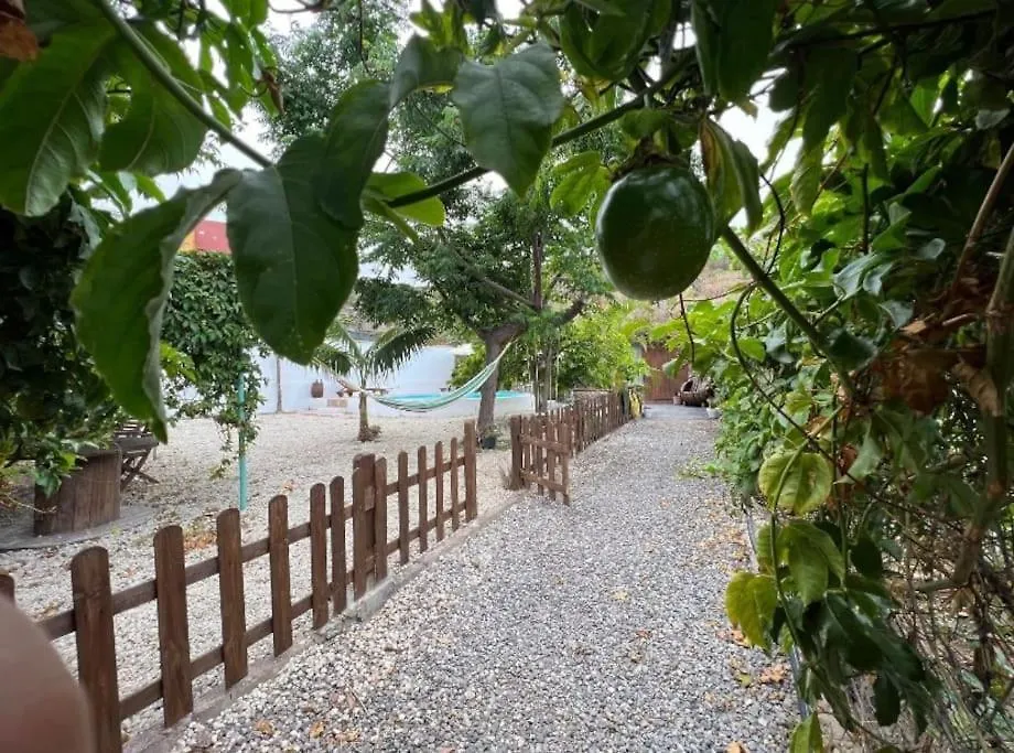 Finca La Tajea Σάντα Κρουζ Τενερίφης 0*,